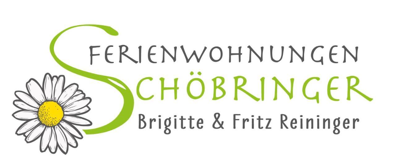 Ferienwohnungen Schoebringer Weyregg Ngoại thất bức ảnh
